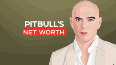 pitbull net worth​