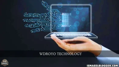 wdroyo tech