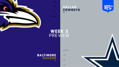 Dallas cowboys vs baltimore ravens match player stats​